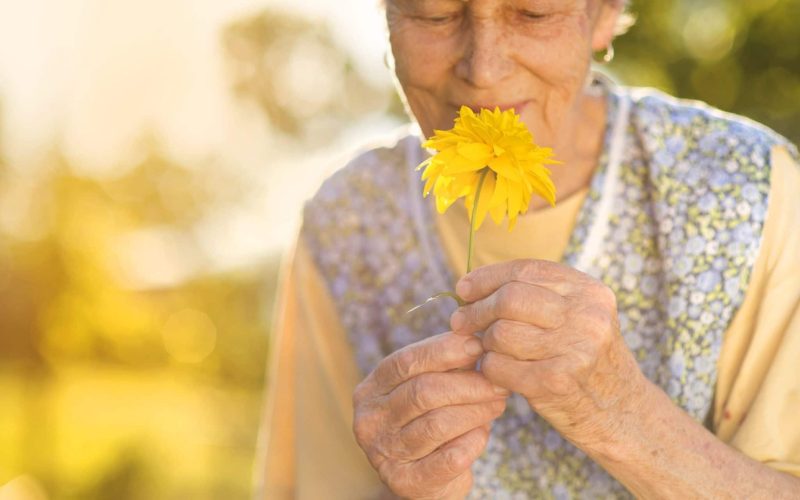 8c45f8d7-342c-407a-8cf3-9326c1ab570a